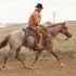 Ranch Riding Techniques